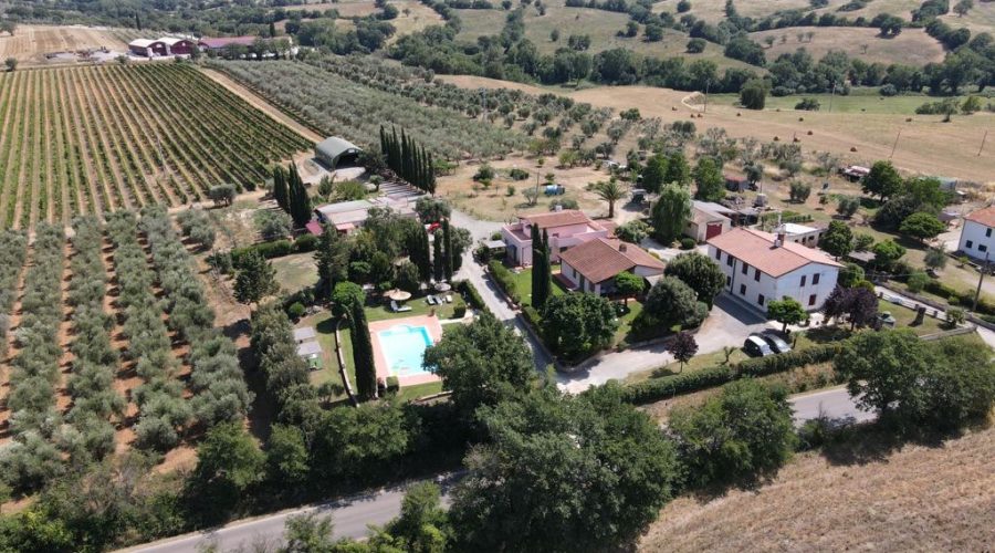 Agriturismo Grosseto con Piscina vicino al Mare - Agriturismo La Quercia (2)